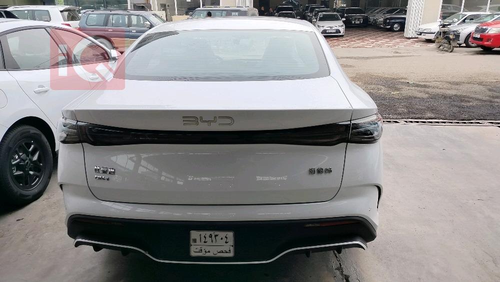 بي واي دي سيل 06 DM-i